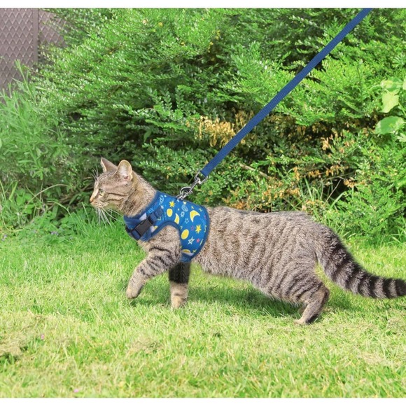 BINGPET Cat Harness Cat Dog Walking Harness Leads Kitties Puppies Sz medium - Picture 3 of 5